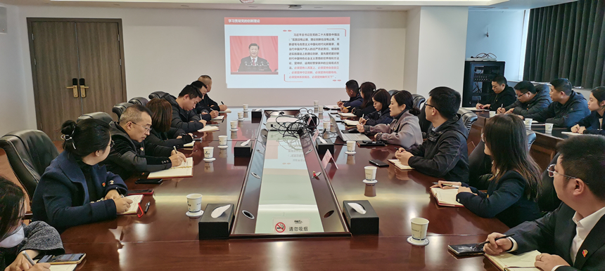 集团党委委员、副总经理贺维维同志讲授专题党课