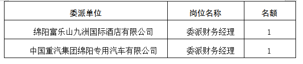 委派财务经理7.12 委派财务经理7.12
